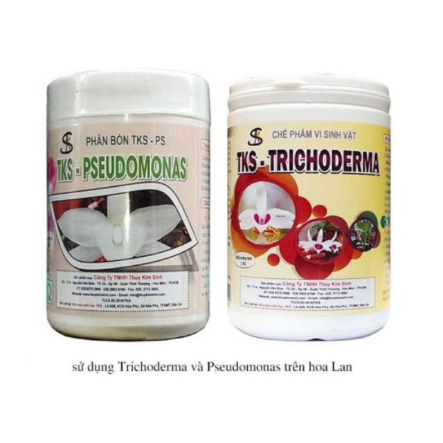 Combo Nấm Trichoderma TKS và chế phầm TKS Pseudonomas 1kg chất, giá rẻ.