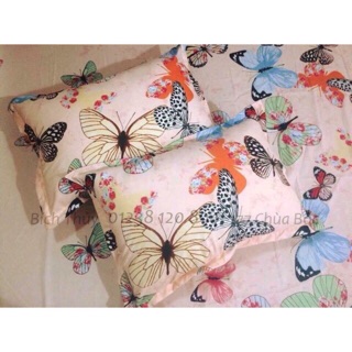 bộ ga gối cotton poly trơn
