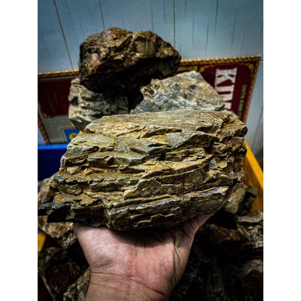 Đá Trầm Suối | Trang Trí Setup Bể Thủy Sinh, Biotope, Blackwater,.... | Mua nhiều giá tốt