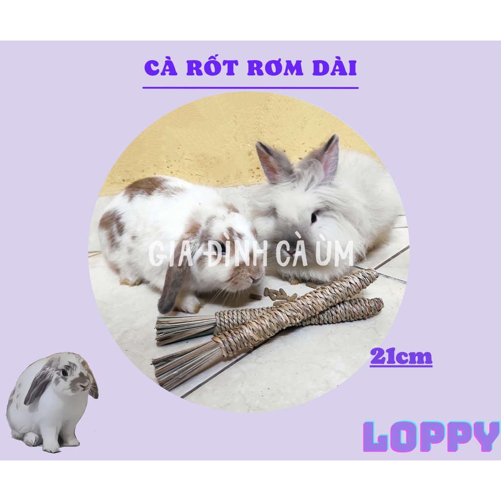 Cà rốt rơm dài - đồ chơi dành cho thỏ/sóc/chuột