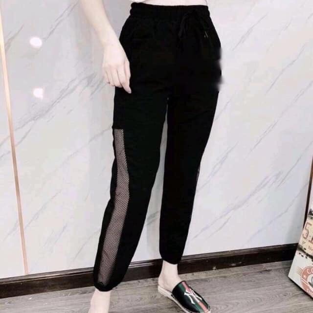 Quần thể thao nư