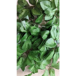 Lá hồng lụa 100gr (50-60 lá)