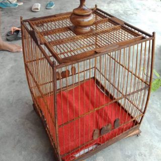 Lồng chim lá đề