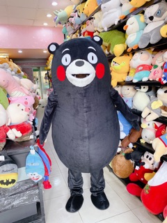 MASCOT GẤU KUMANON (ảnh thật)