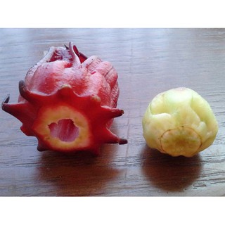 1Kg Mứt hoa hồng (hoa atiso đỏ) Đà Lạt