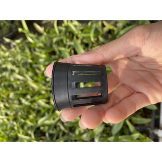 25 Chậu nhựa trồng cây lan cấy mô