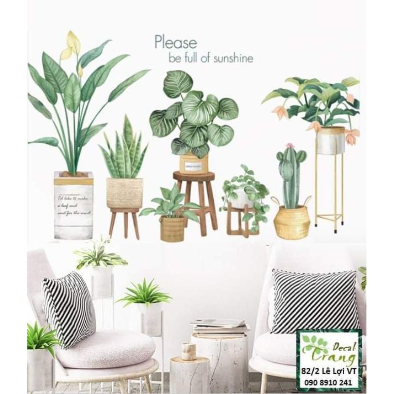 Decal Chậu Lá Nhiệt đới Tropical