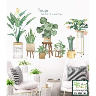 Decal Chậu Lá Nhiệt đới Tropical