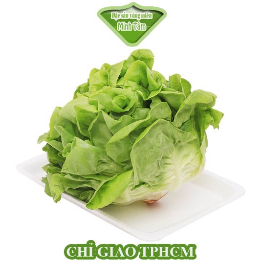 Xà lách Đà Lạt [CHỈ GIAO TP.HCM]