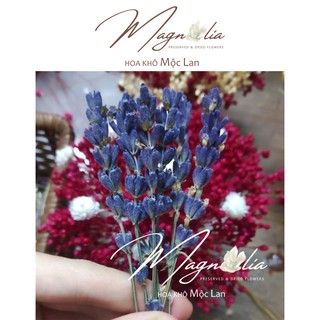 Hoa khô Lavender ❤️FREESHIP❤️ Hoa khô oải hương hàng loại 1 True Lavender Pháp siêu tím - Lẻ cành đẹp