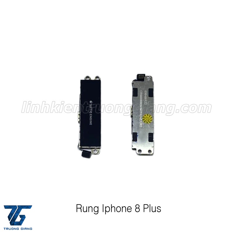 RUNG 8PLUS