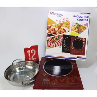 Bếp từ Sowun SW199P