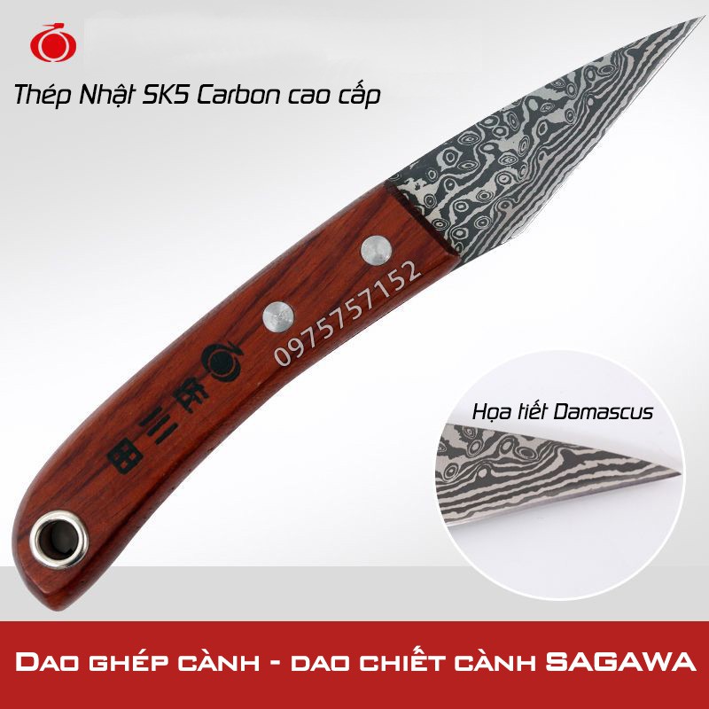 Dao ghép cây, ghép cành, dao chiết cành thẳng thép Nhật Bản SK5 SAGAWA hoa tiết Damascus - Siêu sắc bén - Chính xác cao