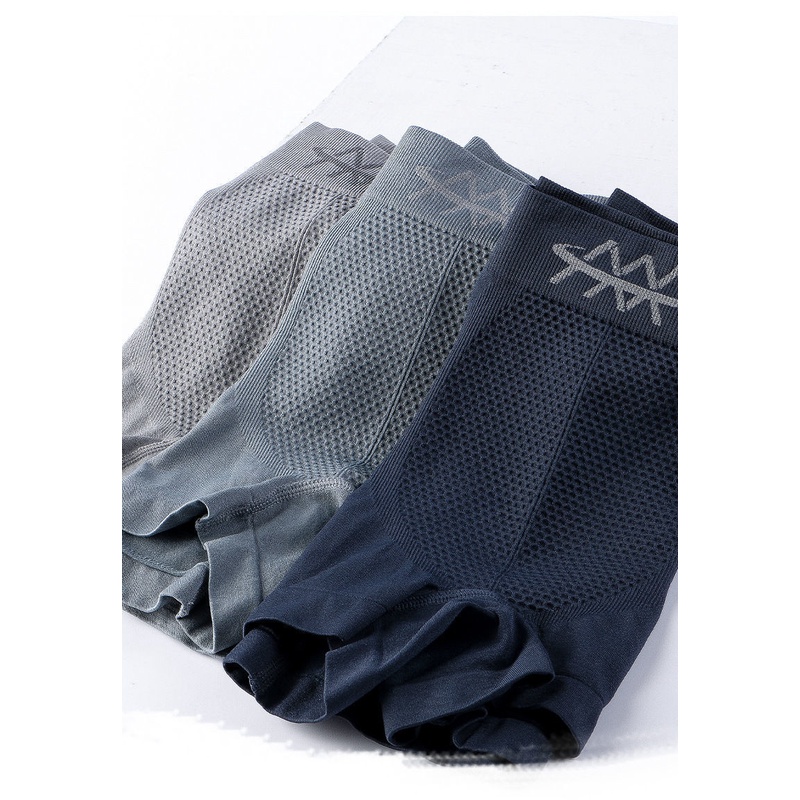 Quần sịp xì đùi nam cao cấp quần lót nam đùi co giãn 4 chiều 5D 45-70kg alex