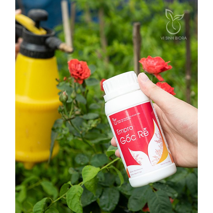 Kích Rễ Hoa Hồng EMPRO 200Gr