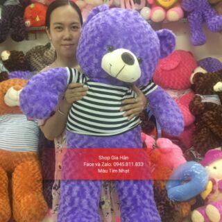 Gấu Teddy 1m2