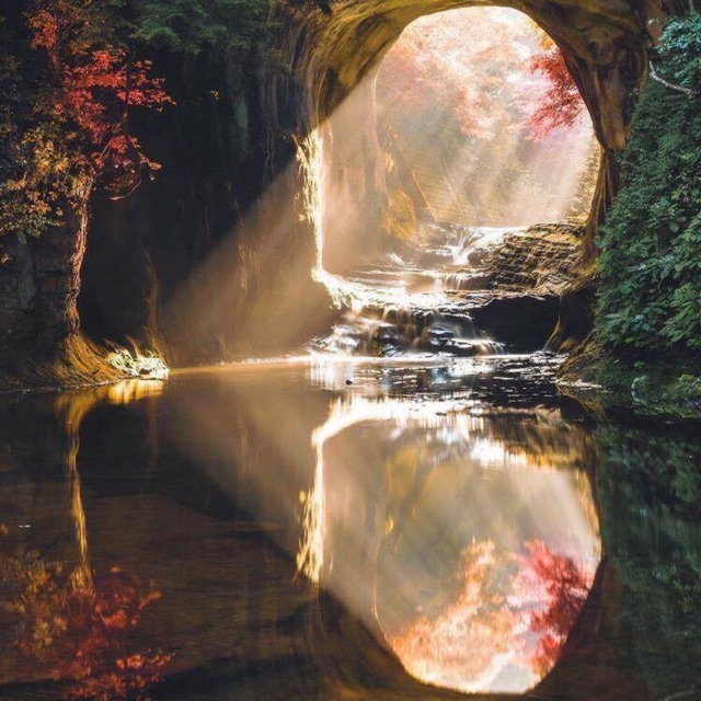 Double Lan Authentic