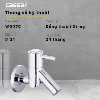 Vòi Lạnh Gắn Tường - W047C
