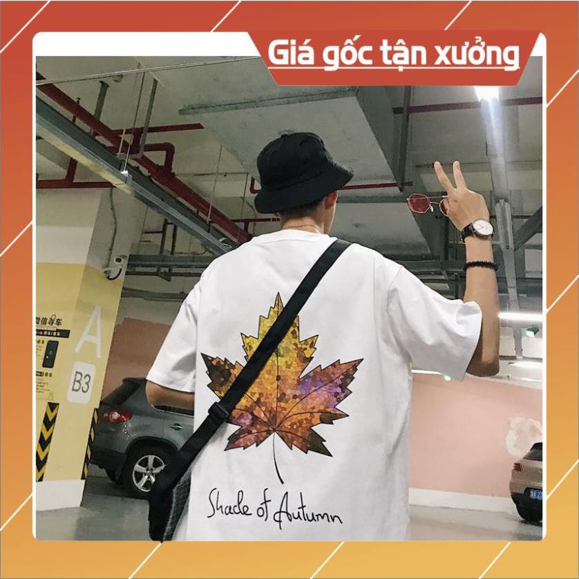 SALE Áo thun Stee MAPLE LEAF Unisex TSP