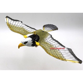 Chim đại bàng pin (con)