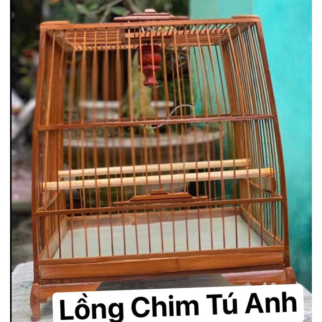 Khung lồng chim chào mào thái đấu, vuống đấu HM trúc già cật vàng đã qua xử lý màu KL02