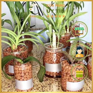 Viên đất nung SFARM ( sỏi nhẹ) bao 5 dm³ size 5-10mm
