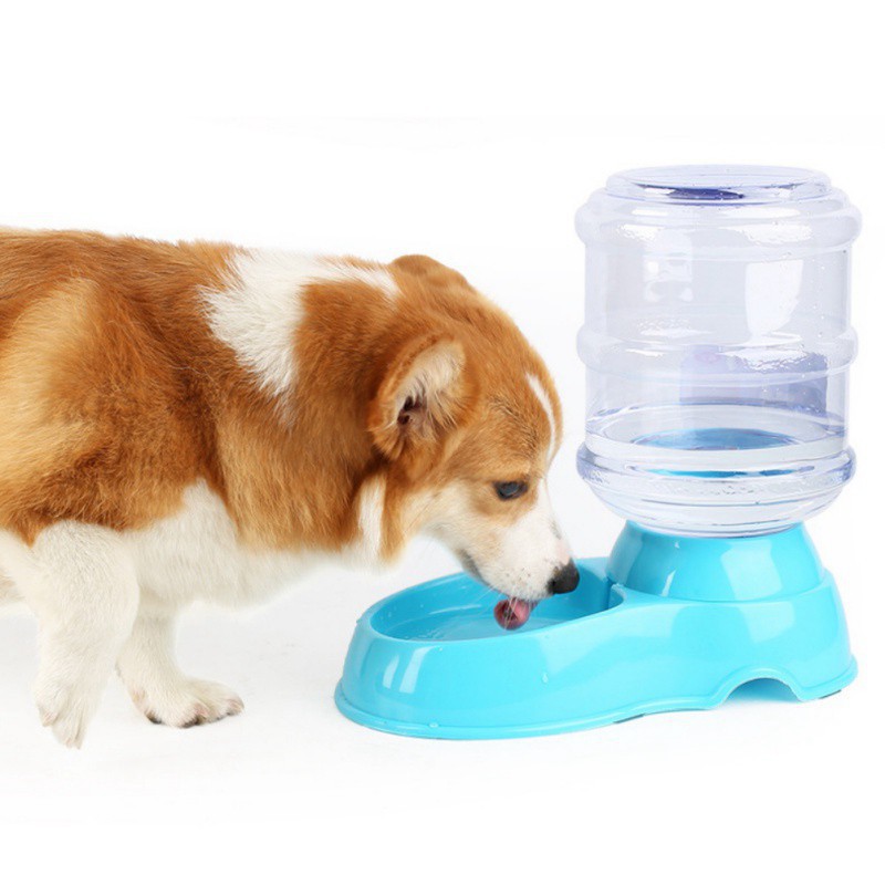 Khay đựng thức ăn/ nước uống tự động cho chó cưng