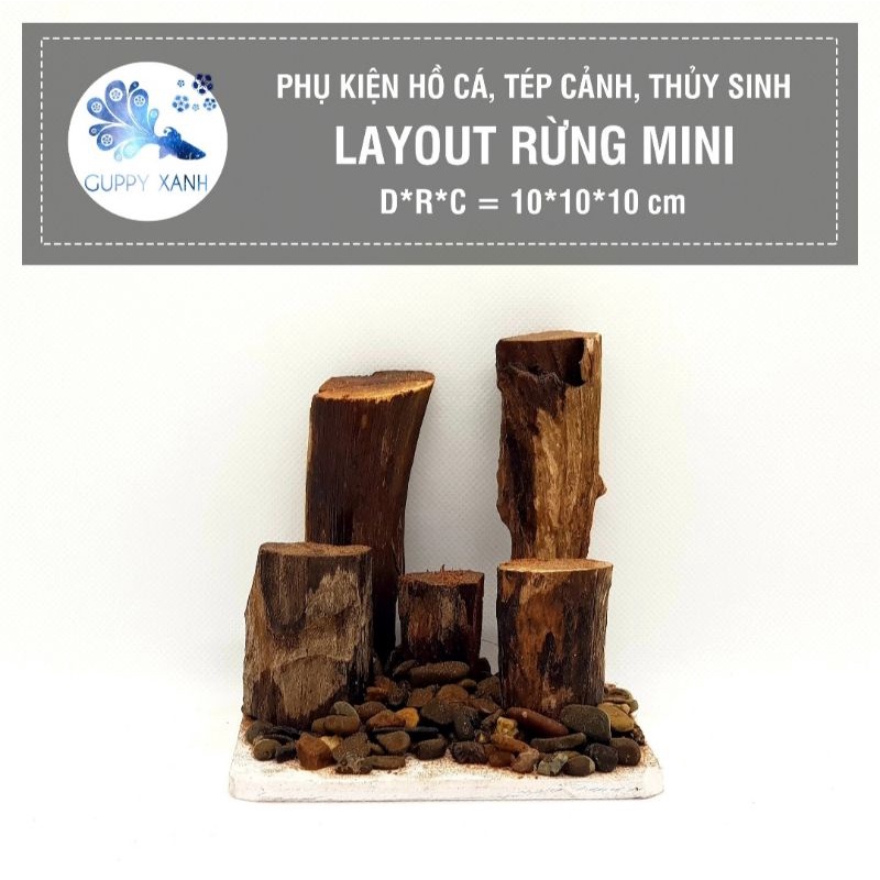 layout thủy sinh rừng mini size 10x10 thích hợp để bàn - lũa layout rừng