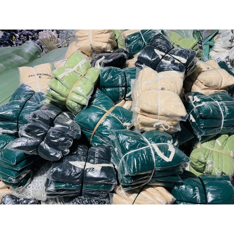 Áo Nỉ Hoodie Thêu Chữ Chất Nỉ Ngoại 2 Lớp Dày Dặn Form Rộng Tay Phồng-Unisex Nam Nữ( Hàng Sẵn)