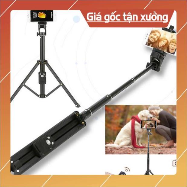 Xả kho GIÁ GỐC Gậy Tripod 3 Chân Đa Năng 1688 Có Remote Bluetooth - Gậy Chụp Ảnh Kiêm Chân Đế Kẹp Điện Thoại, Máy Ảnh | BigBuy360 - bigbuy360.vn