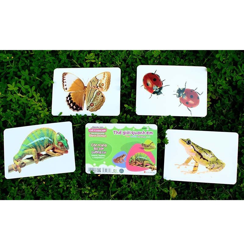 Sách - Hộp Thẻ Flashcard Theo Phương Pháp Glenn Doman - Thế Giới Quanh Em