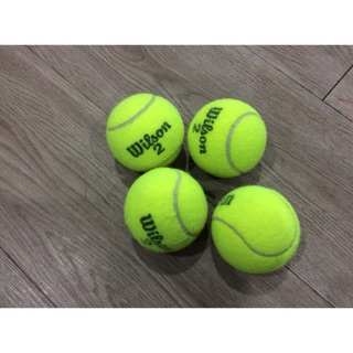 BÓNG TENNIS CỦ