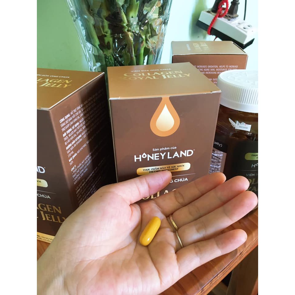 Bộ 2 hũ Mật ong Đông Trùng Hạ Thảo (420g/hũ) tặng 1 hộp viên collagen sữa ong chúa 60 viên | BigBuy360 - bigbuy360.vn