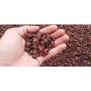 [0,5Kg] Quả mắc mật khô- Lạng Sơn