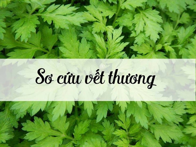 1kg ngải cứu khô