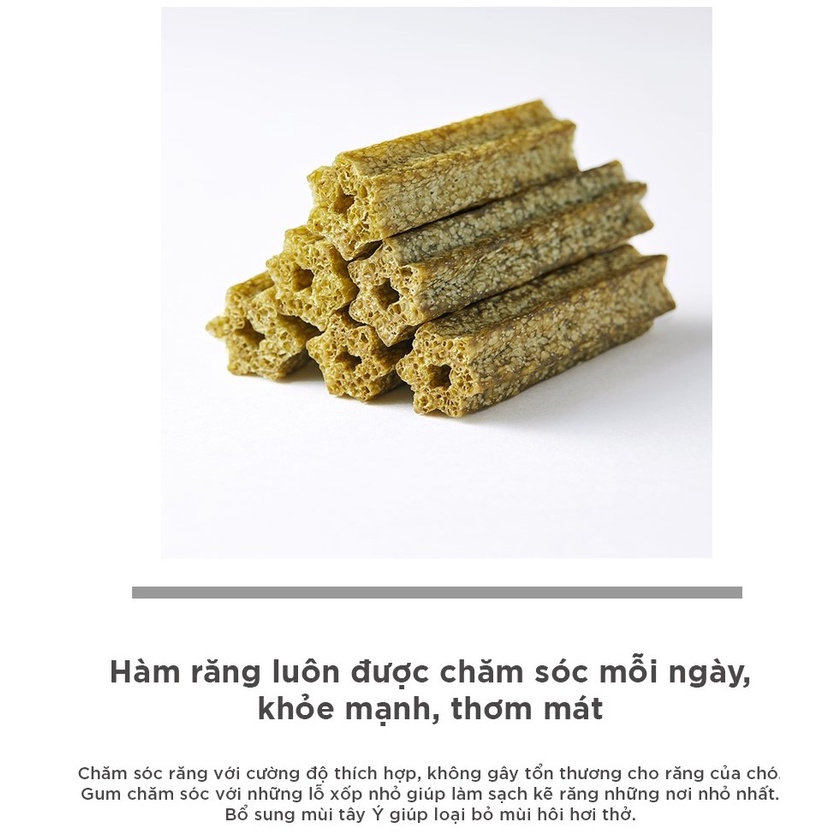 [DINH DƯỠNG CAO CHO CHÓ] Gum chuối, Gum tảo biên, Gum việt quất cho chó BOWWOW 270g - Snack cho chó - Ăn vặt cho chó