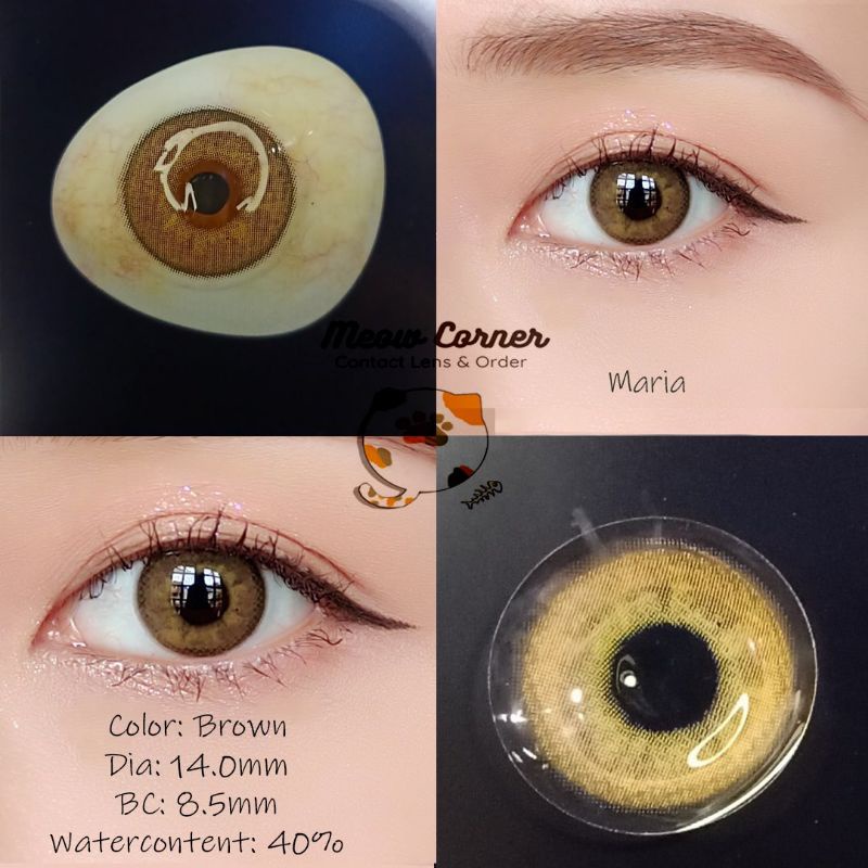 lens mắt mẫu maria 4 màu xinh xinh