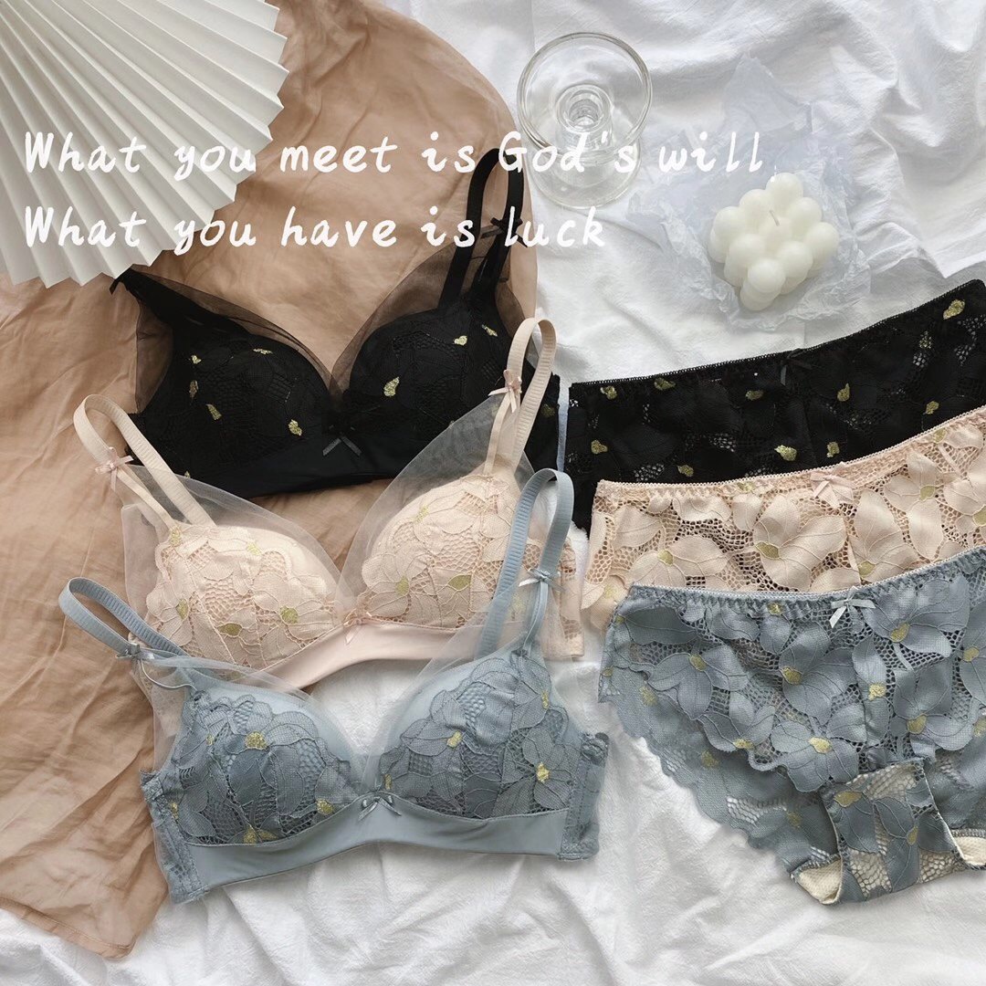 Bộ Đồ Lót Áo Ngực Ren Gợi Cảm Không Gọng Thời Trang Dành Cho Phụ Nữ ( Có Bán Lẻ) | BigBuy360 - bigbuy360.vn