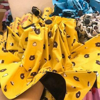 🐻 Ô gấp gọn gấu siêu kutie