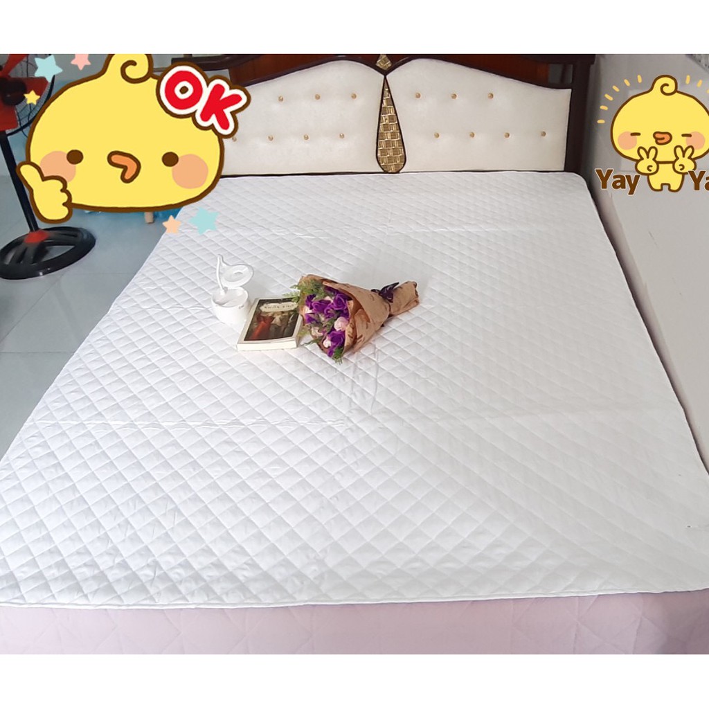 Bảo Vệ Nệm Cotton Chống Thấm Nước Tuyệt Đối Cao Cấp - Màu Trắng Lan Pham Bedding