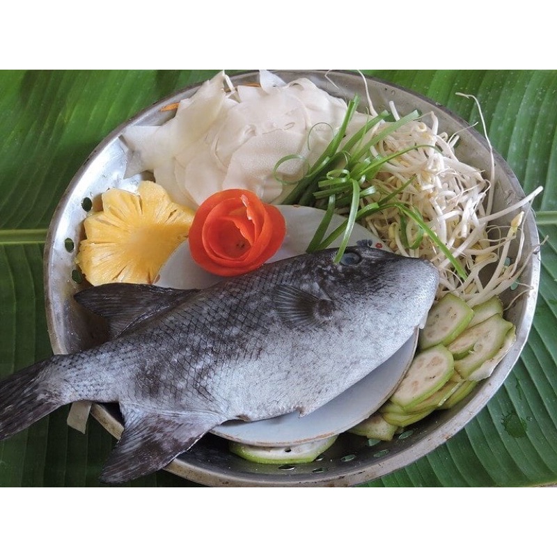 Cá bò đen làm sạch ~0.5kg/con