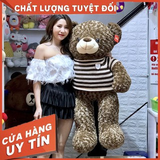 Teddy Socola - Gấu Bông Siêu Cao Cấp