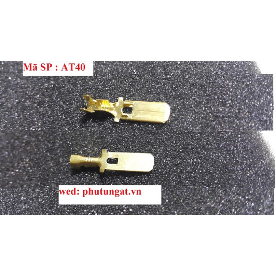 Cos lưỡi 6.3 đực có lỗ - AT40