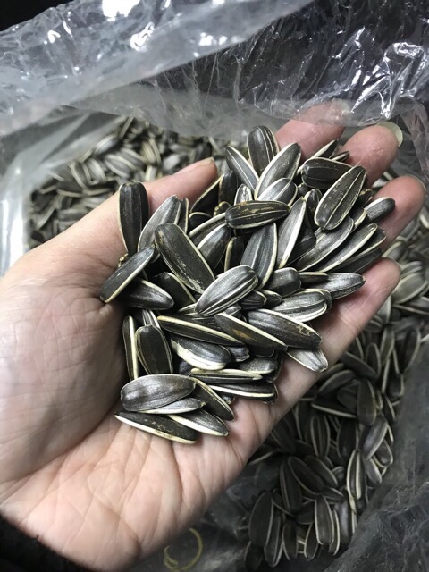 500Gr hạt dướng dương đều mẩy giòn tan