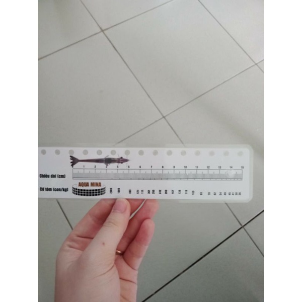 Thước đo tôm, thước đo chiều dài tôm, thước đo size tôm