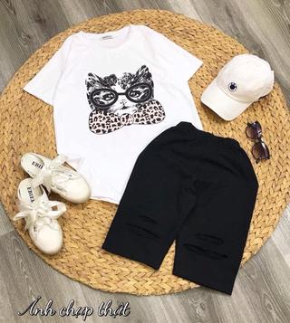 Sét áo mèo quần legging