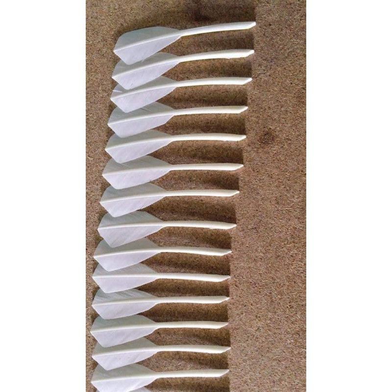 Ống cầu lông win sport giá dùng thử