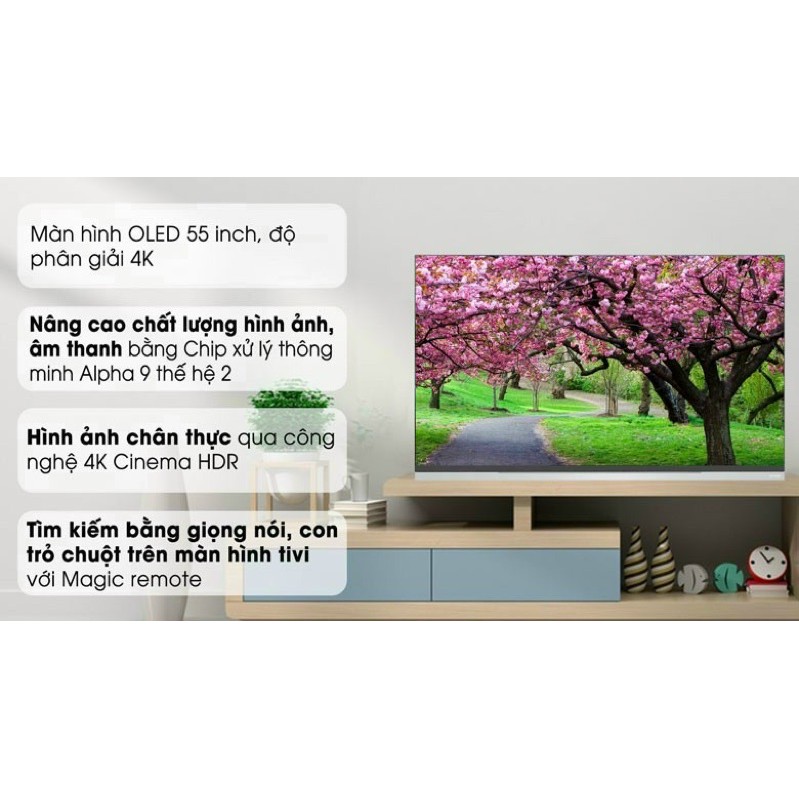 Smart Tivi OLED LG 4K 55 inch 55E9PTA.FULLBOX( Hàng tồn kho Bảo hành chính hãng)