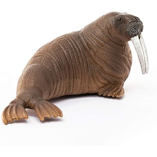 Mô hình Sư tử biển SCHLEICH 14803