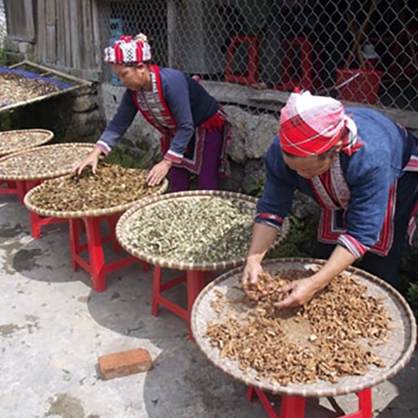 Thảo Dược Ngâm Chân Người Dao Đỏ - Tặng kèm Muối Hồng Himalaya